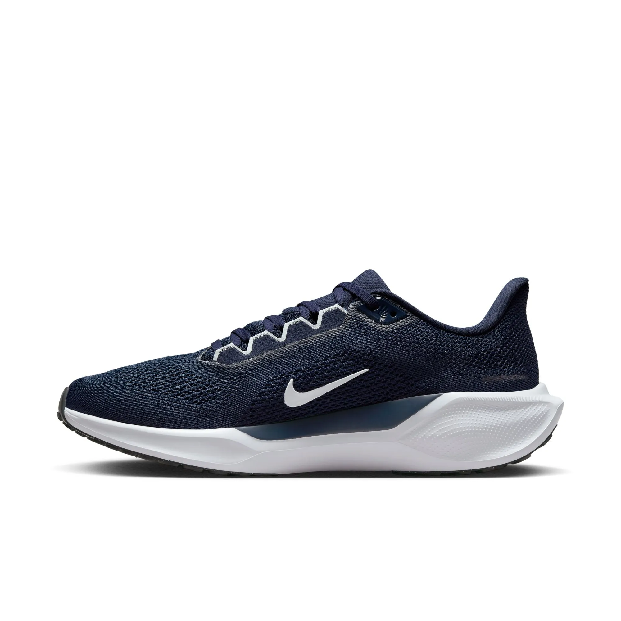 Air Zoom Pegasus 41 TB