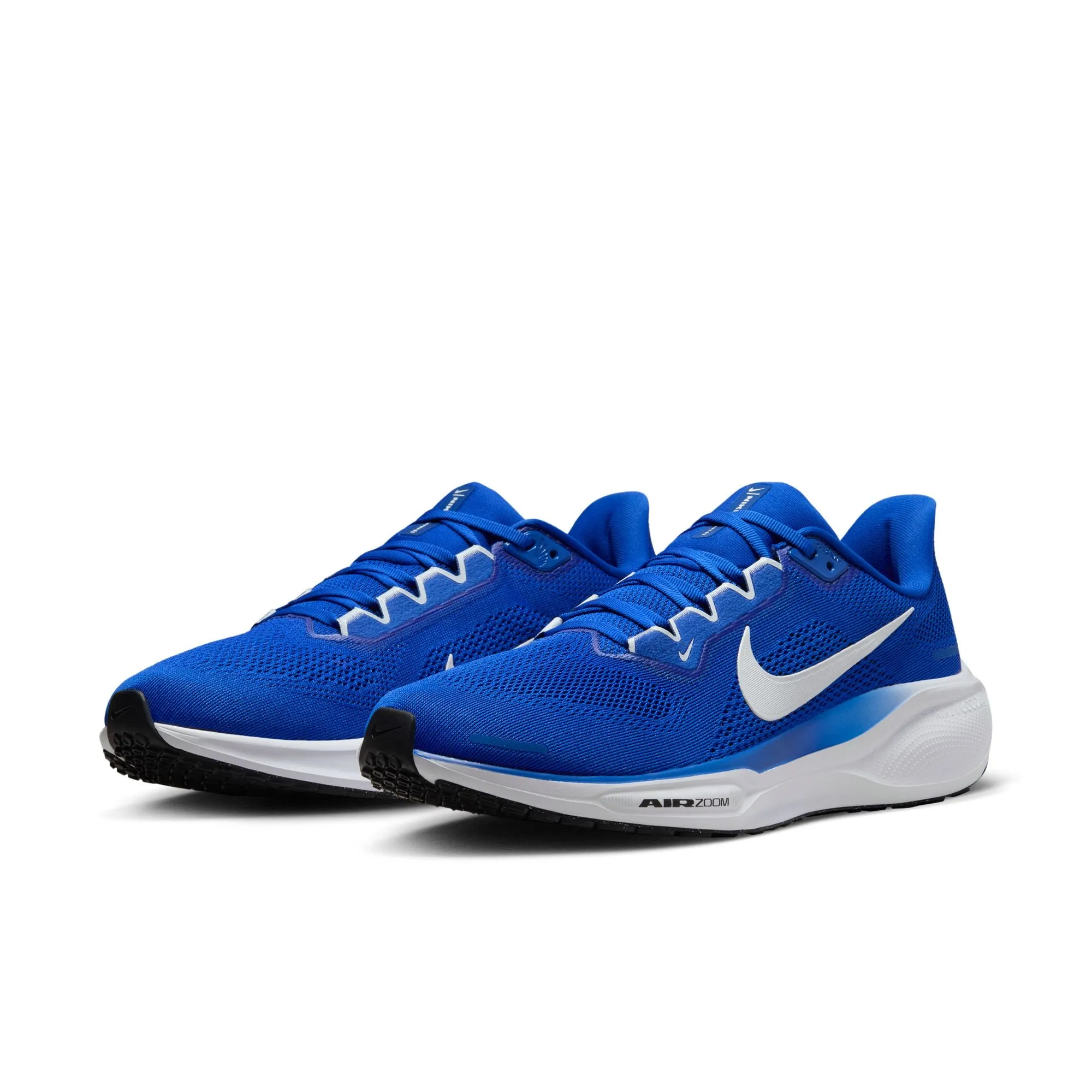 Air Zoom Pegasus 41 TB