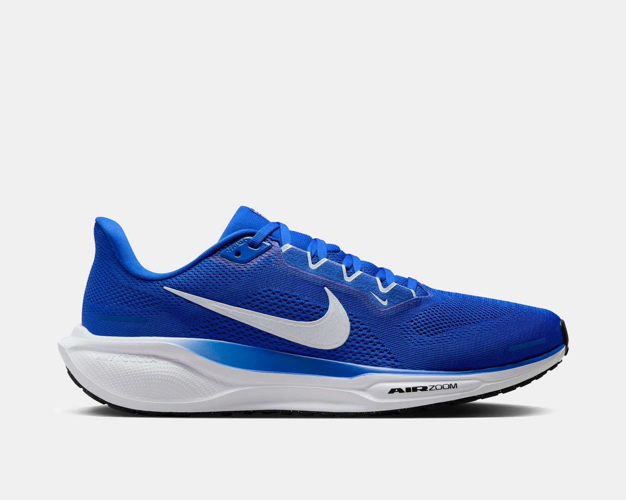 Air Zoom Pegasus 41 TB