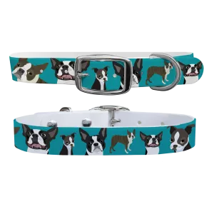 Boston Terrier Dog Collar With Silver Buckle