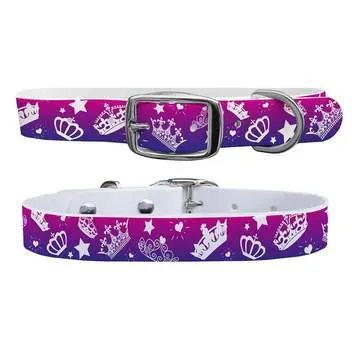 C4 Waterproof Dog Collar