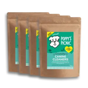 Canine Cleaners (1 month)