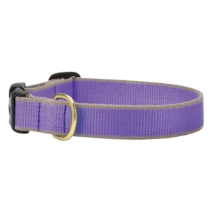 Collar | Purple & Gray