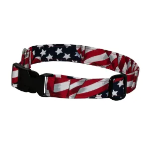 Elmo's Closet Liberty Dog Collar