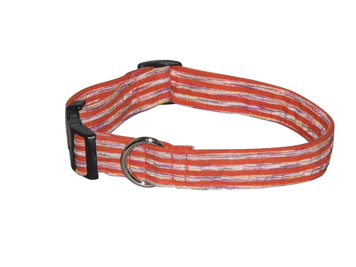 Elmo's Closet Orange Zest Dog Collar