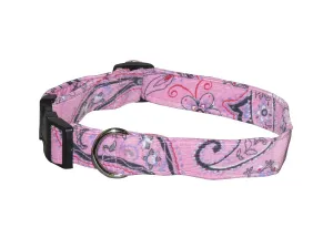 Elmo's Closet Pink Paisley Dog Collar