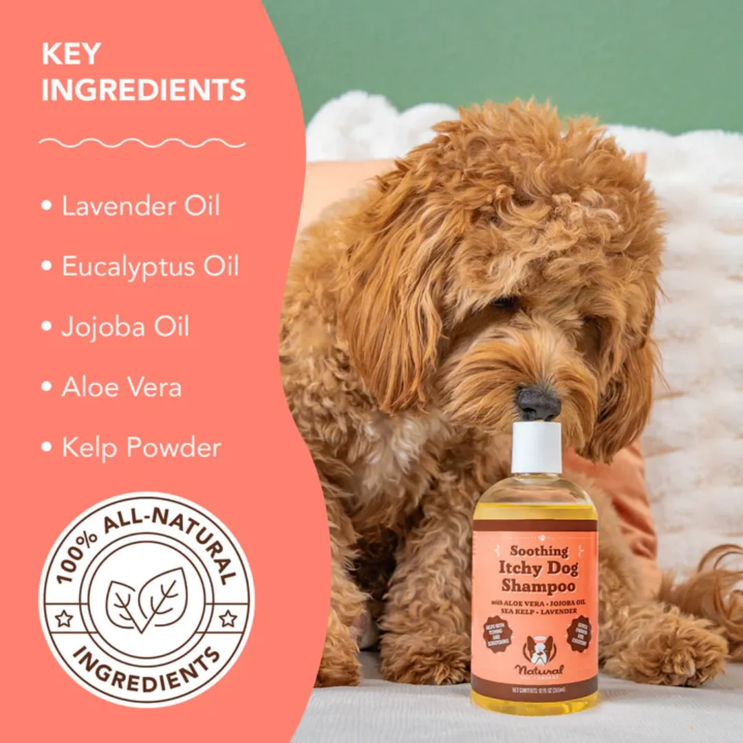 Itchy Dog Shampoo - The Natural Dog Company