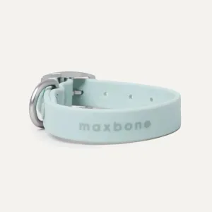 Maxbone - Hazel Collar