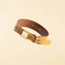 Ollie and James Collar Camel