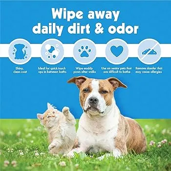 Petkin | Dog & Cat | Big 'N Thick Pet Wipes (Extra Large) - 100 Pack