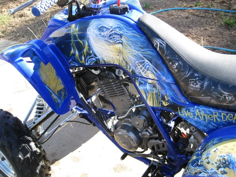 Yamaha Raptor 660 Graphics